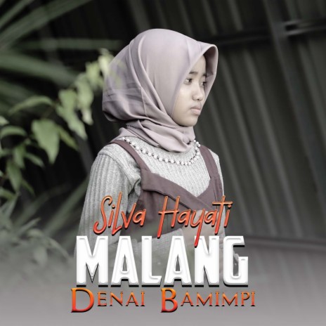 Silva Hayati Malang Denai Bamimpi Lyrics Boomplay