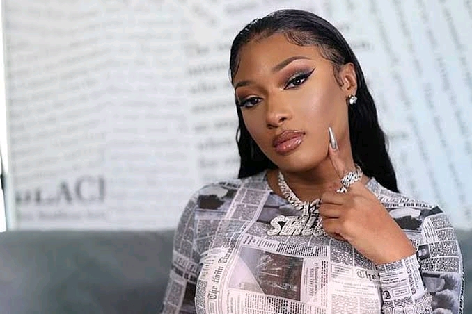 Megan The Stallion Calls Out DaBaby Over Tory Lanez Drama