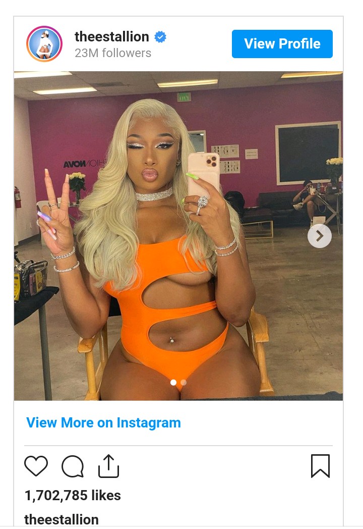 Fans Troll Megan Thee Stallion S Fashion Style For Looking Like Wrestlers On The Beach Boombuzz