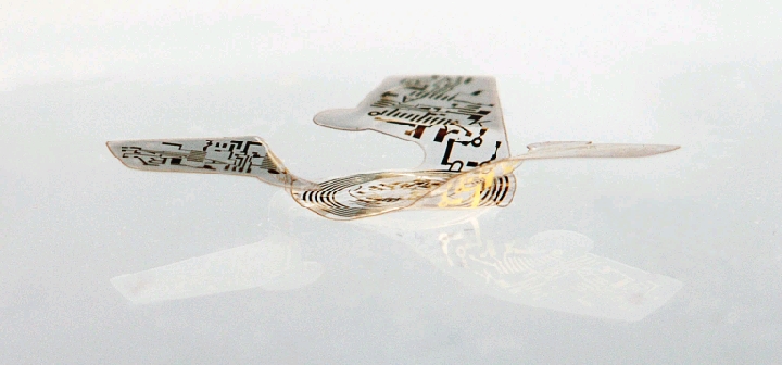 This Microchip With Wings Is The Smallest Flying Structure Humans Have Ever Built