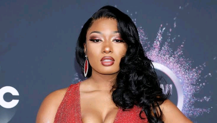 Megan The Stallion Calls Out DaBaby Over Tory Lanez Drama