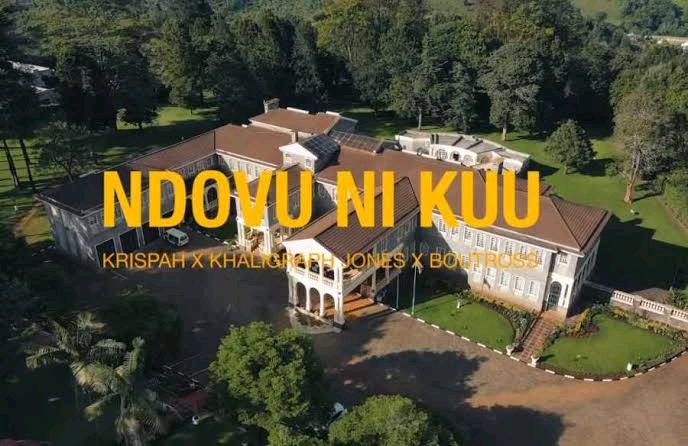 Was 'Ndovu Ni Kuu' Video Taken Down As An Act Of Malice? 