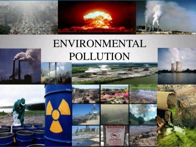 &apos;HealthyLifeMatters: Reproductive Effects Of Pollution | A Must-Read! 