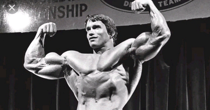 Tribute To Legendary Movie Star Arnold Schwarzenegger, See His Photos