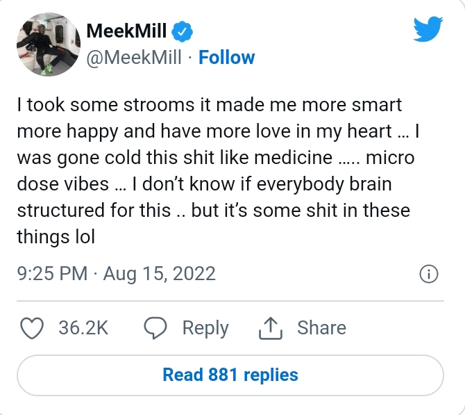 MEEK MILL ON USING SHROOMS: ‘IT MADE ME MORE SMART, MORE HAPPY’