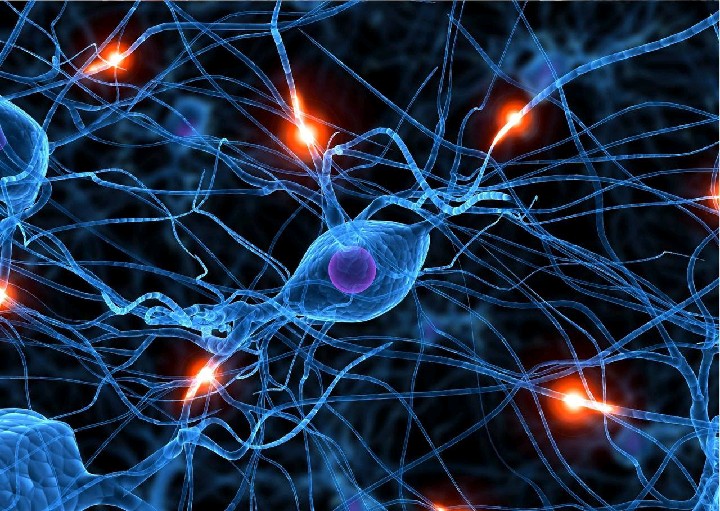 New class of molecules may protect brain from stroke, neurodegenerative diseases!