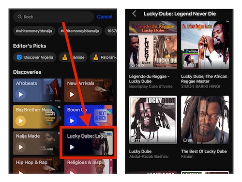 Legends Never Die: Lucky Dube (Winners and Their Playlists)