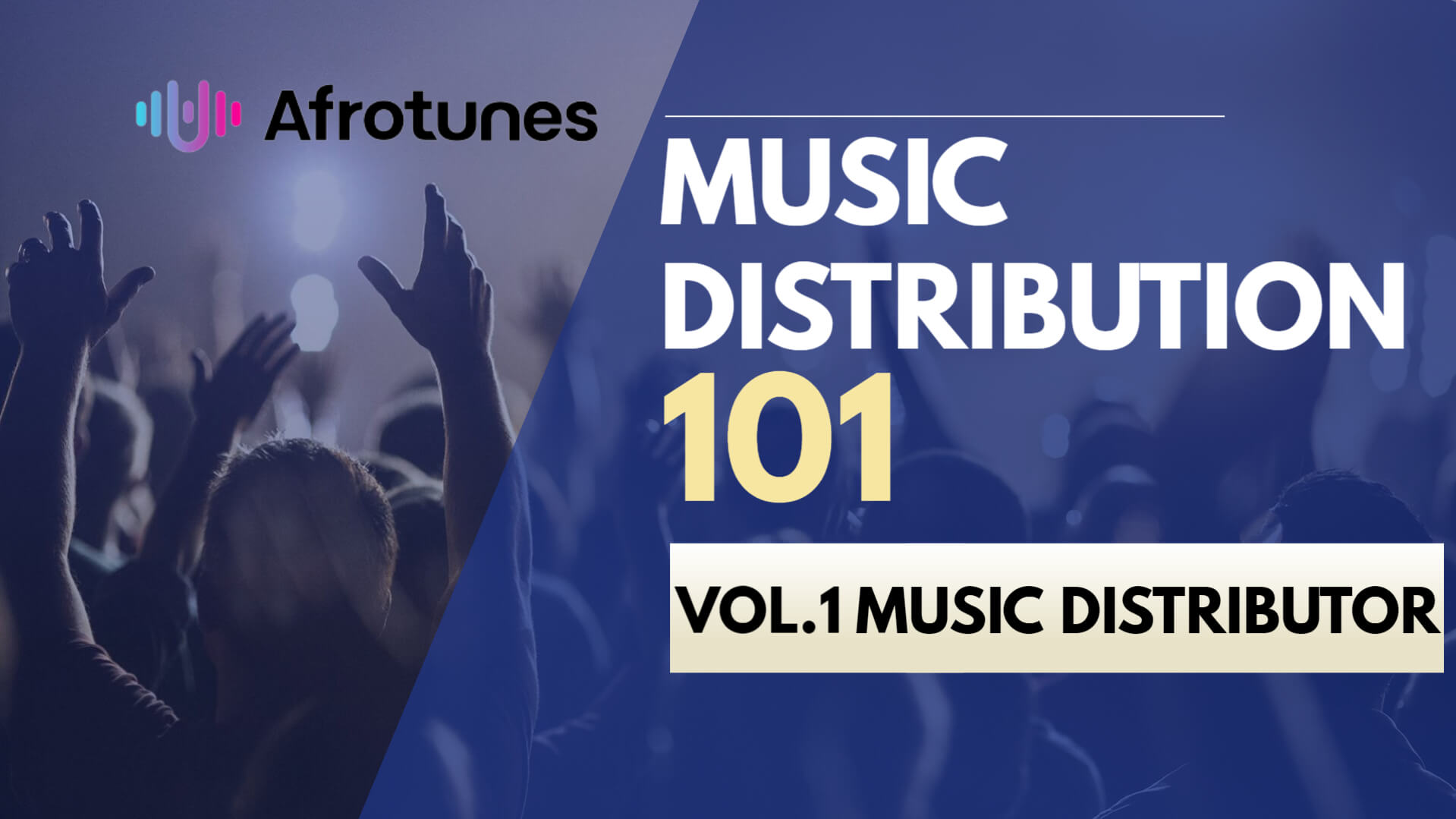 Music Distribution 101: Music Distributor