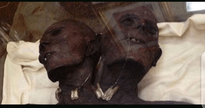 12-Feet-Tall and Two-Headed Well-Preserved Giant Mummy Discovered in Patagonia – Meet Kap Dwa