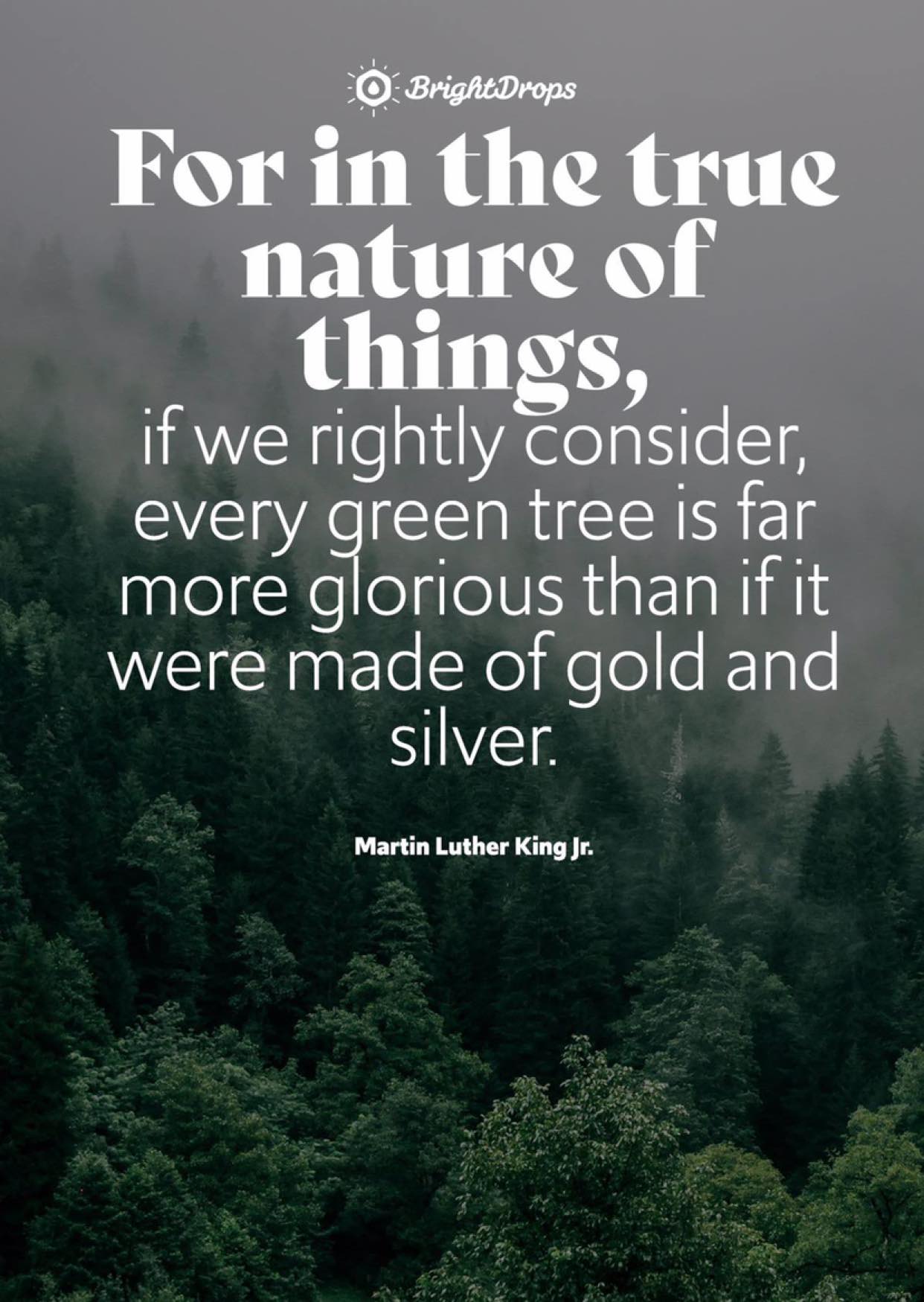 For in the true nature of things, if we rightly consider, every green tree is far more glorious than