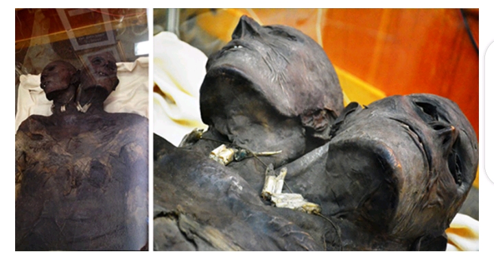 12-Feet-Tall and Two-Headed Well-Preserved Giant Mummy Discovered in Patagonia – Meet Kap Dwa