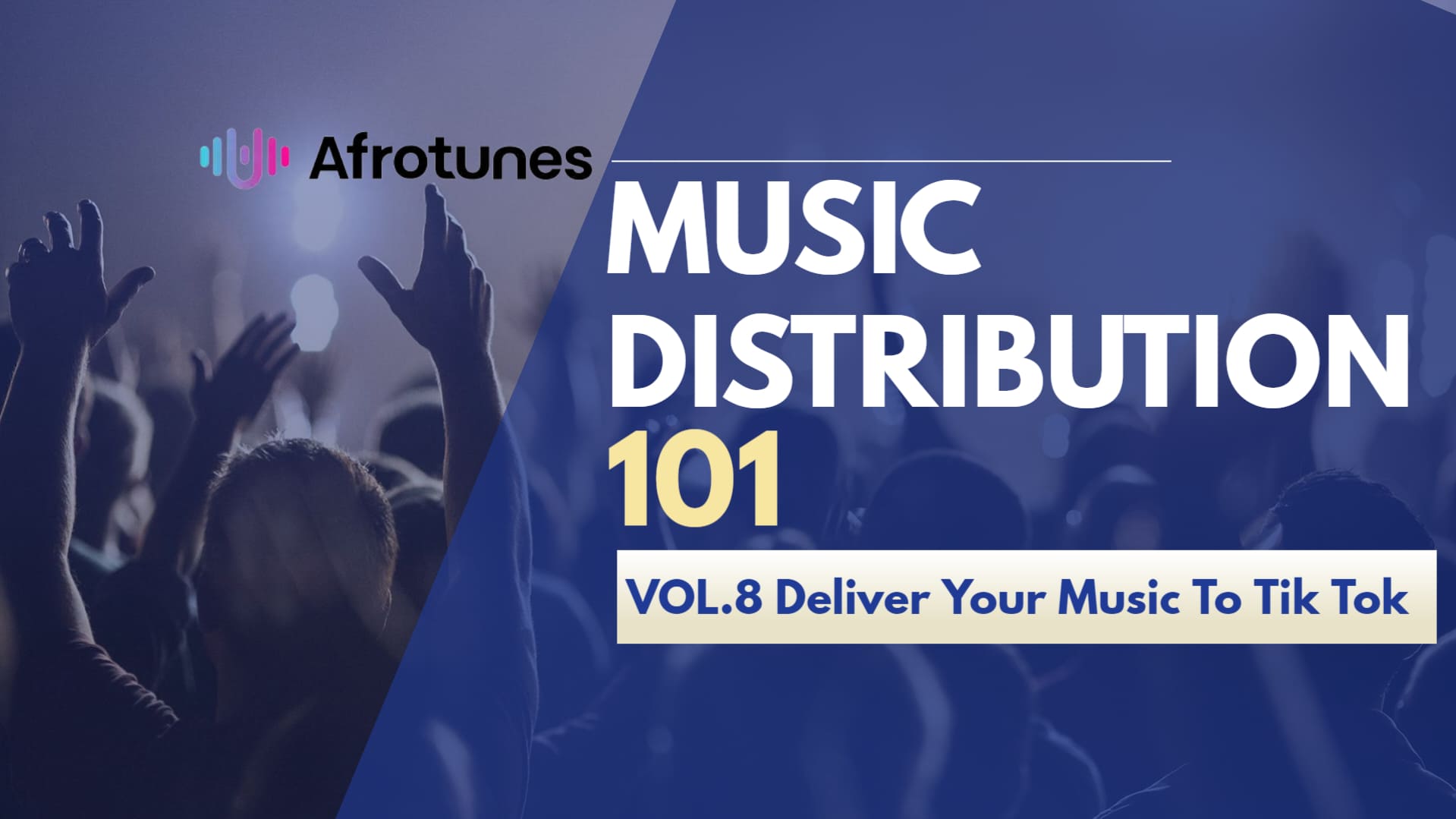 Music Distribution 101: Deliver Your Music To Tik Tok