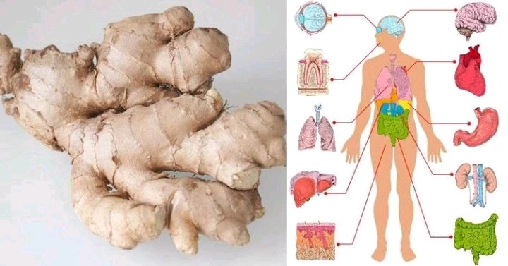 Eat Ginger Every Day For 1 Month & These 7 Things Will Happen To Your Body | Boombuzz