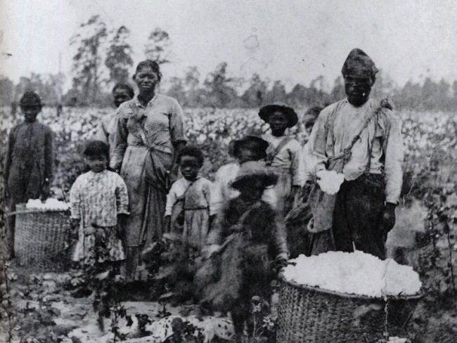 6 Startling Things About Sex Farms During Slavery That You May Not Know.