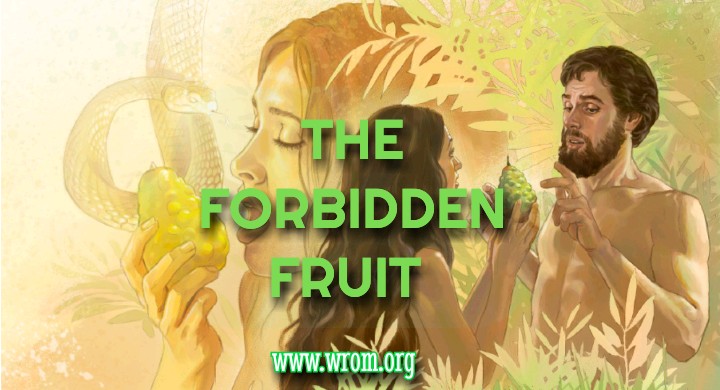The Forbidden Fruit 