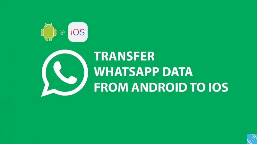How to transfer your WhatsApp chats from Android Device to iOS Device 