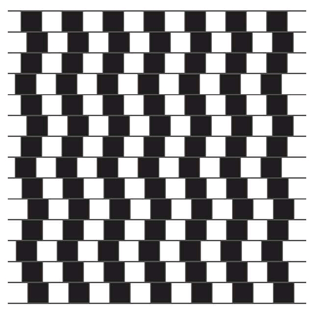 The mind-blowing optical illusion with a serious message