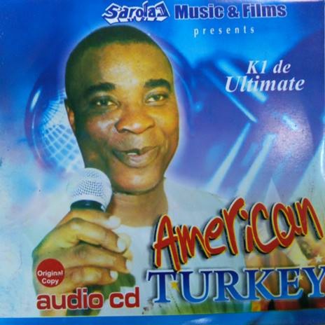 American Turkey 1