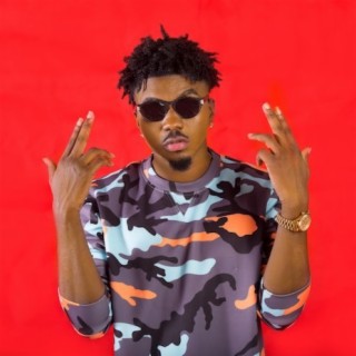 Skiibii