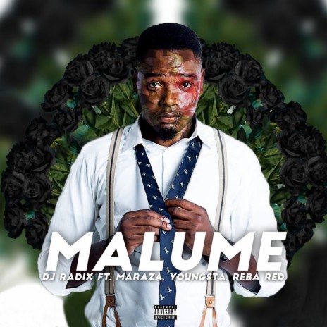 Malume ft. Maraza & Youngsta CPT & Reba Red | Boomplay Music