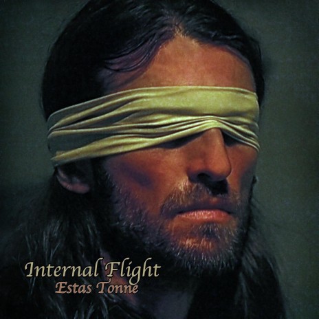 Internal Flight | Boomplay Music