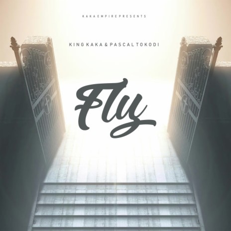 Fly ft. Pascal Tokodi | Boomplay Music