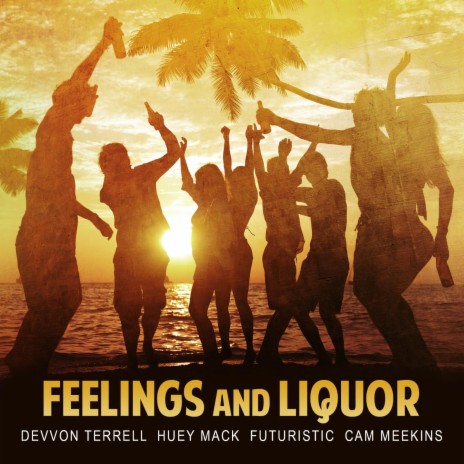 Feelings and Liquor | Boomplay Music