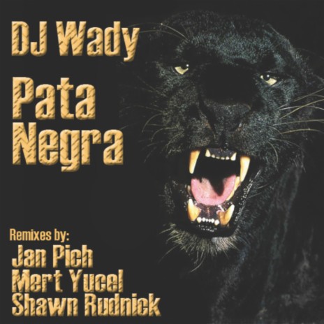 Pata Negra (Mert Yucel More Drums Remix)