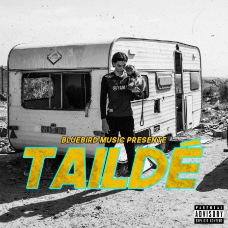 Taildé | Boomplay Music