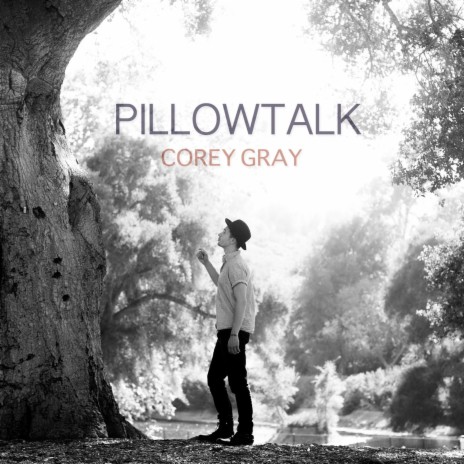 Pillowtalk (Acoustic) | Boomplay Music