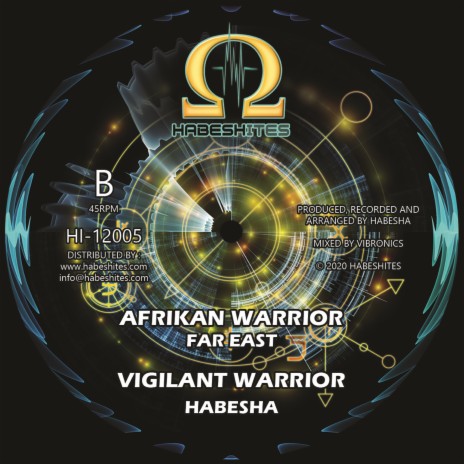 Vigilant Warrior ft. Afrikan Warrior | Boomplay Music