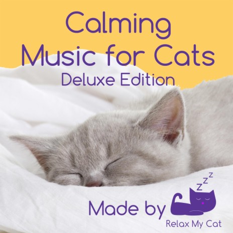 calm my cat music