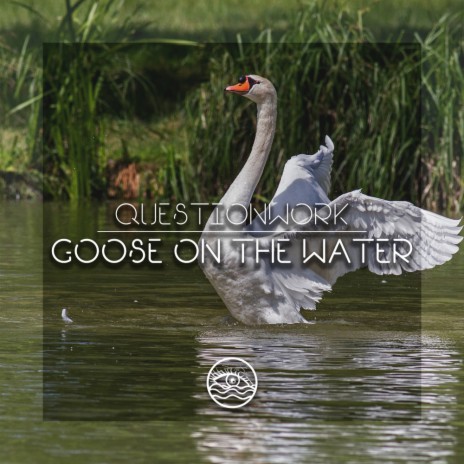 Goose On The Water (Original Mix)