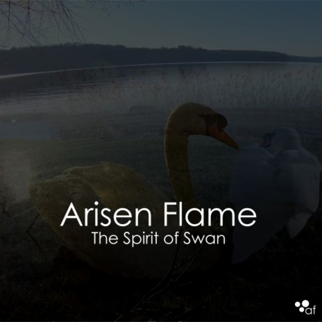 The Spirit of Swan (Original Mix) | Boomplay Music