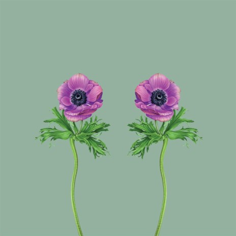Beach By Qrion Boomplay Music
