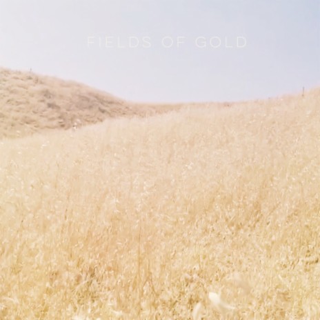 Fields of Gold | Boomplay Music