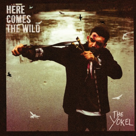 Here Comes the Wild | Boomplay Music