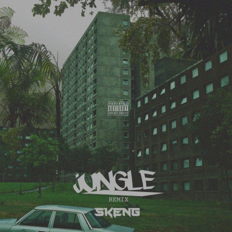 Jungle (Remix) | Boomplay Music