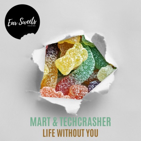 Life Without You (Radio Mix) ft. Techcrasher