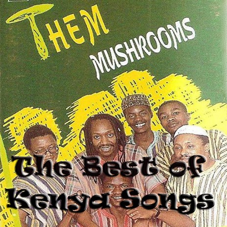 Mushroom Soup | Boomplay Music