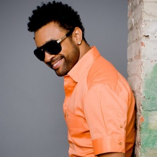 Shaggy