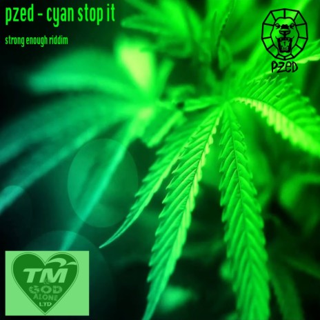 Cyan Stop It | Boomplay Music