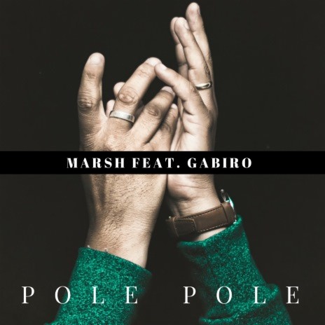 Pole Pole ft. Gabiro | Boomplay Music