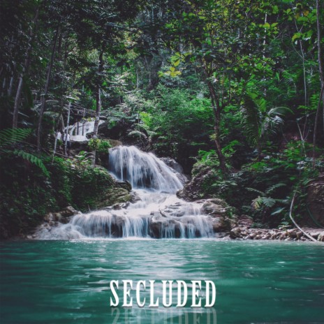 Secluded | Boomplay Music