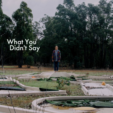 What You Didn't Say | Boomplay Music