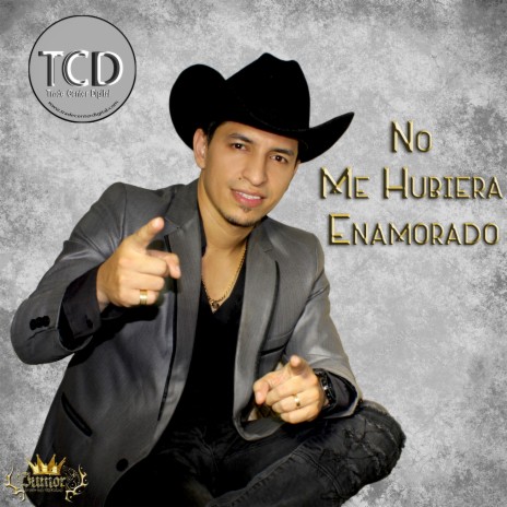 No Me Hubiera Enamorado | Boomplay Music