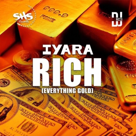 Rich (Everything Gold) (Radio Edit) ft. Dj Nicco | Boomplay Music