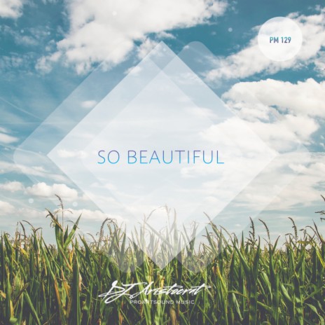 So Beautiful (Original Mix) | Boomplay Music