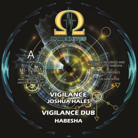 Vigilance Dub ft. Joshua Hales | Boomplay Music