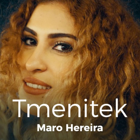 Tmenitek | Boomplay Music